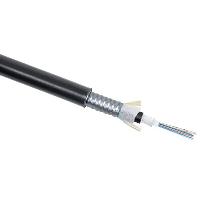 CLT-A-5-01X24-Z-PE-ARM-PE-DD-OUT-40