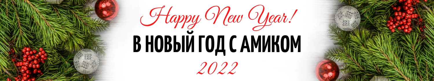 Амиком. Итоги года Амиком. Итоги года