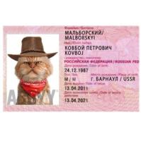 Локальная лицензия ABBYY с производительностью 5 000 страниц