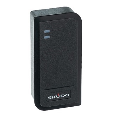 SK-RP300E (Черный)