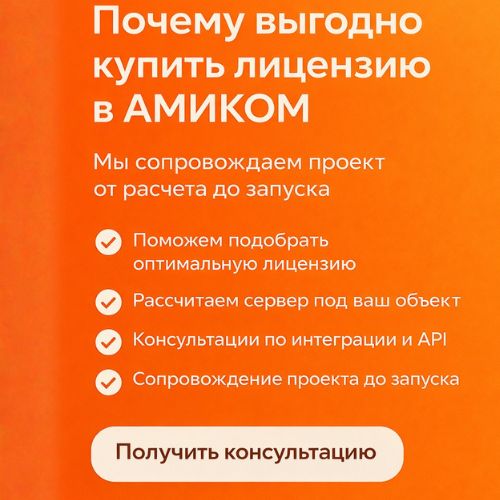 Macroscop NVR P-series 100