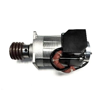 Электродвигатель C-BYT (119RIC042)