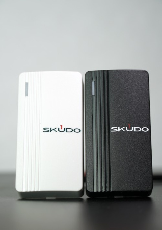 (SK-R-254) SK-RP100E (белый)